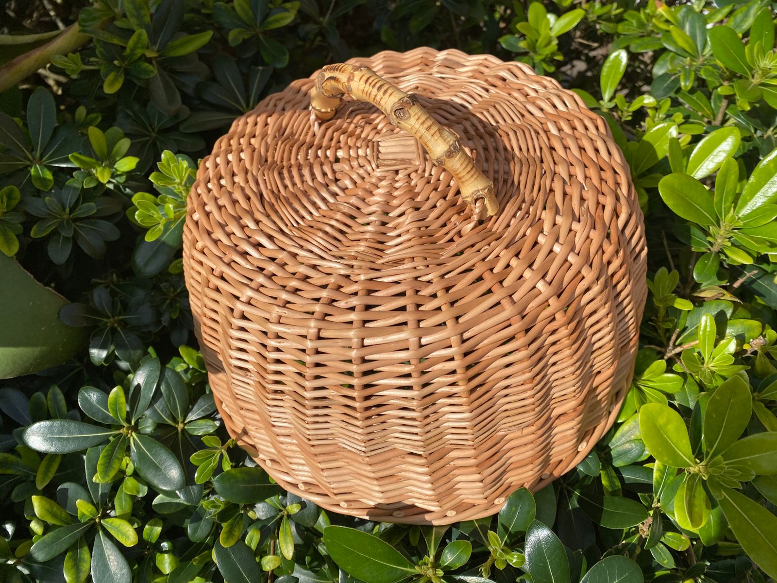 Cobre Bolo com Alça