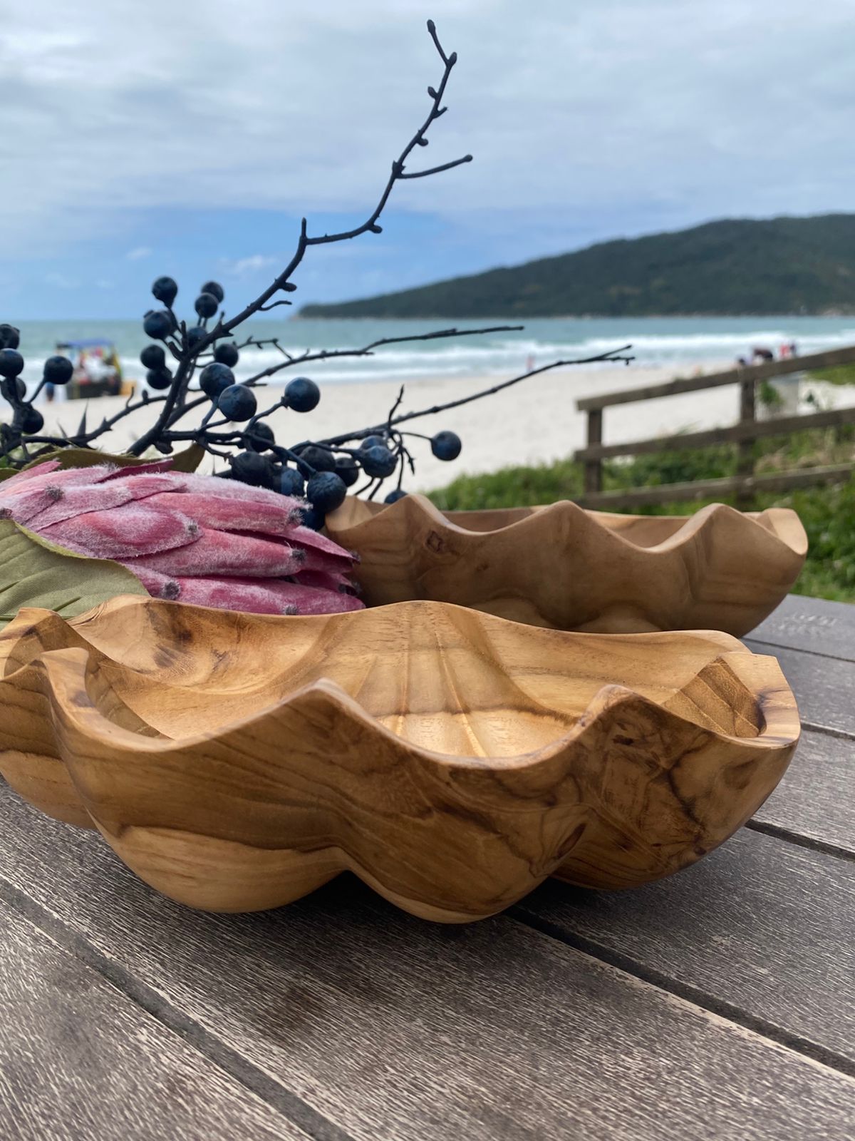 Bowl Teca Concha M Petiscos
