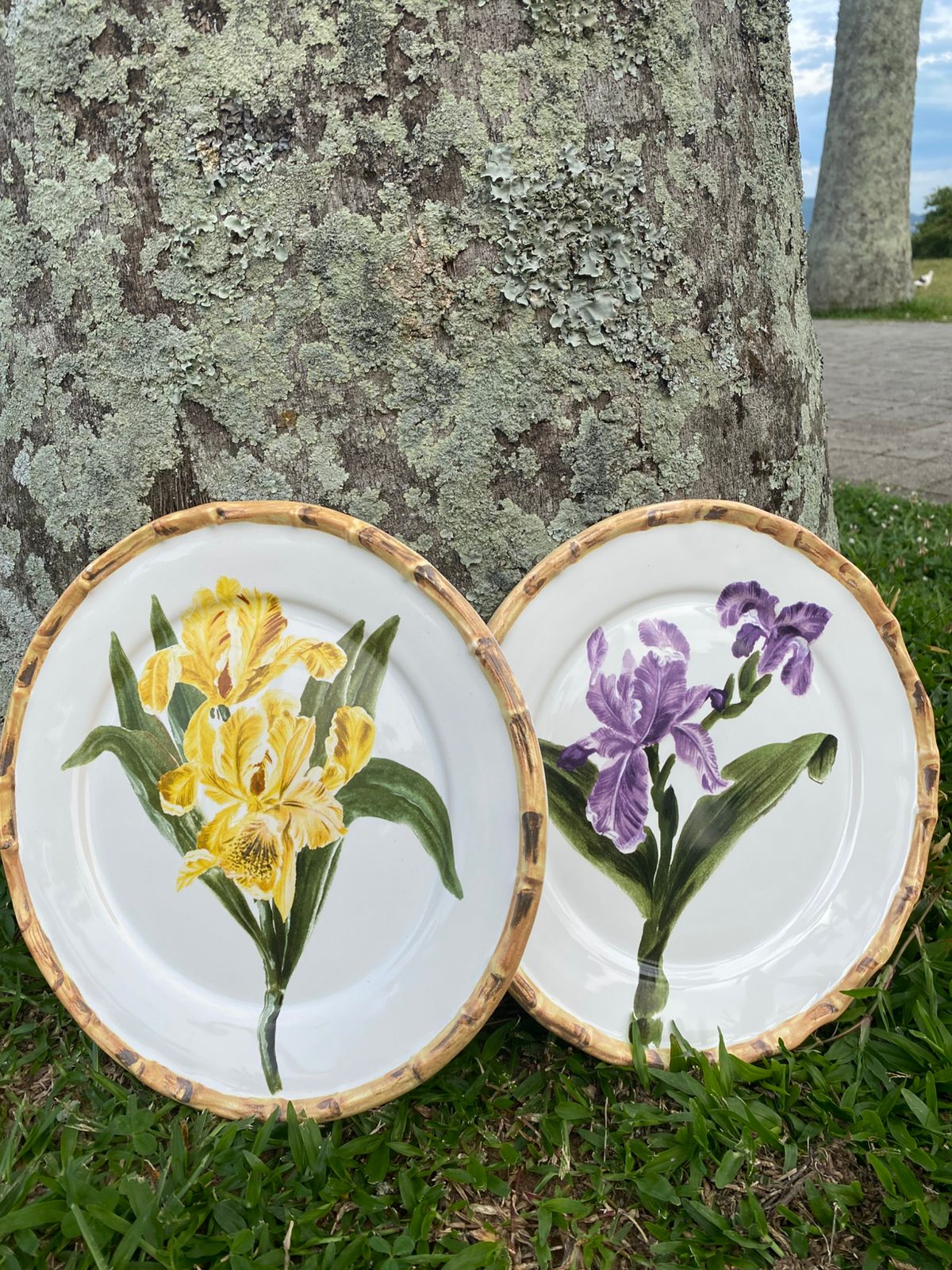 Pratos Rasos Orquídea em Porcelana com 8